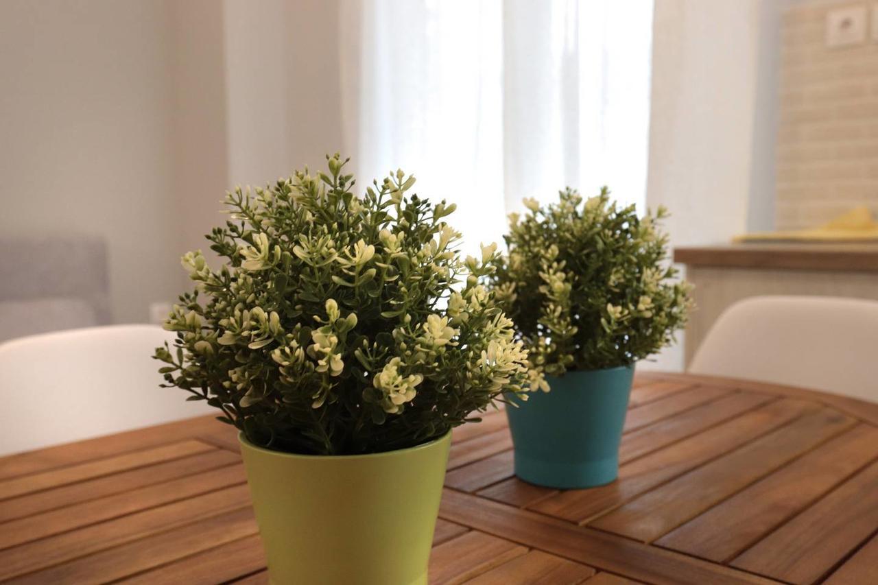 Pale Coloured Apt In Athens Historic Centre מראה חיצוני תמונה